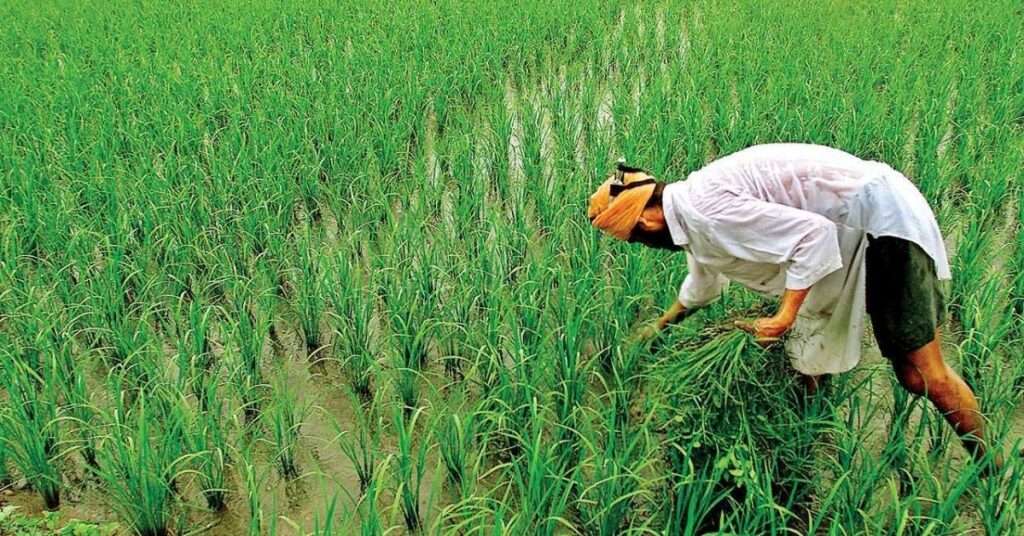 Viksit Krishi Sankalp Abhiyan
