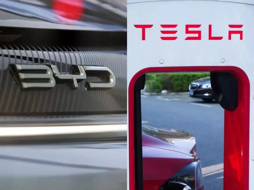 Tesla vs byd