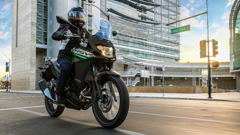 Kawasaki Versys-X 300