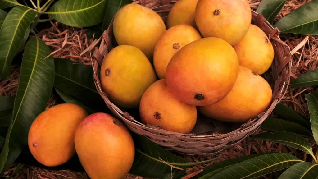 Identify fake mangoes