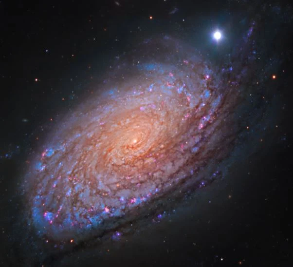 Sunflower Galaxy