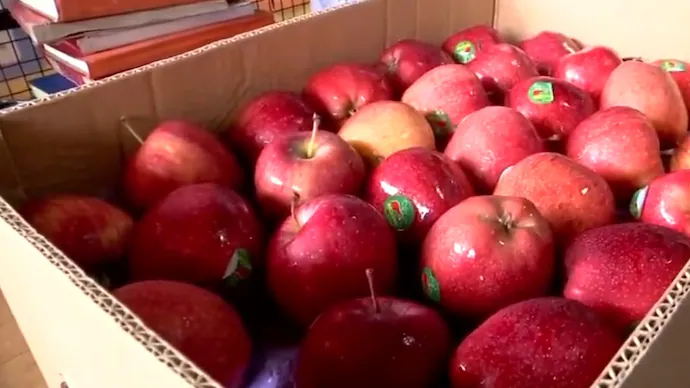 Maharashtra CM Fadnavis Praises Pune Traders for Boycotting Turkish Apples, Boosts Local Produce