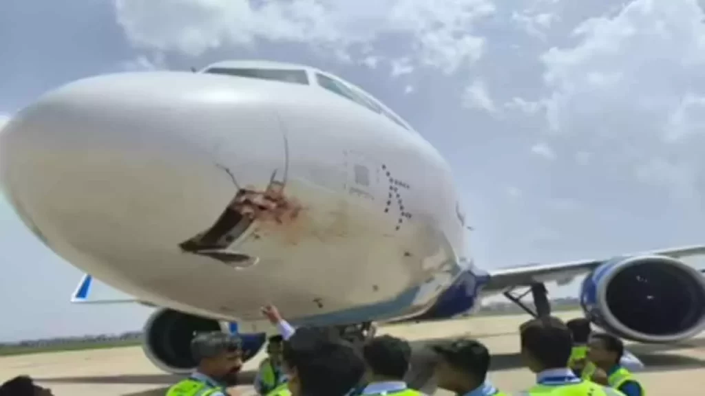IndiGo flight bird strike