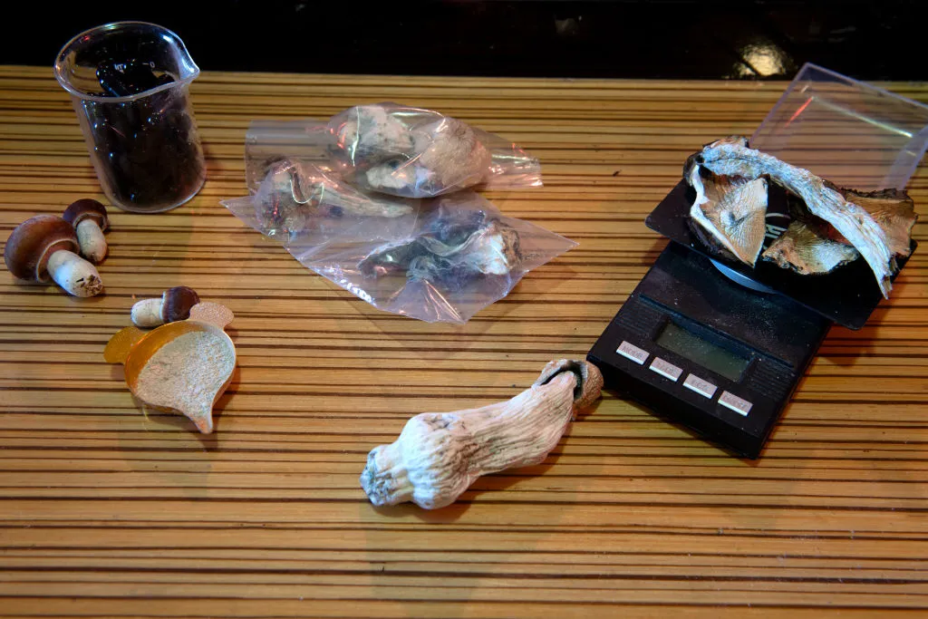 New Zealand psilocybin approval