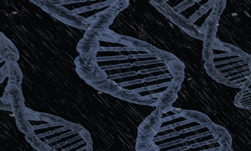 gene therapy for HIV