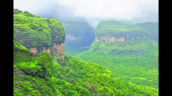 Tamhini Ghat rainfall