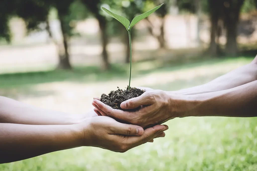 world environment day