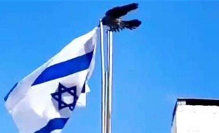 Israeli flag viral video