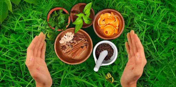 Traditional Knowledge Digital Library