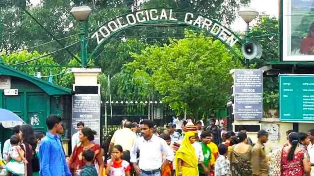Alipore Zoo missing animals