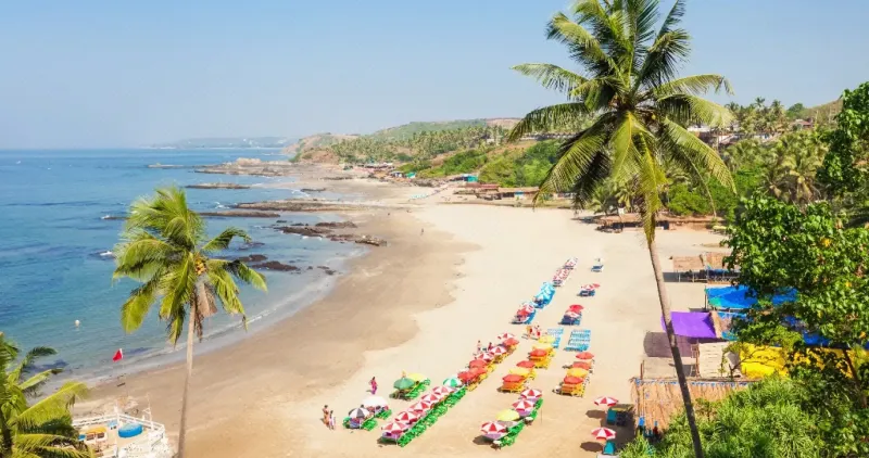 Goa tourism 2025