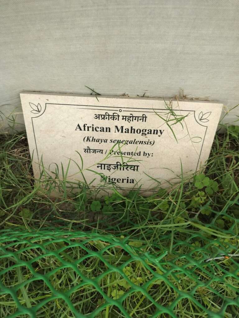 G20 plantation event