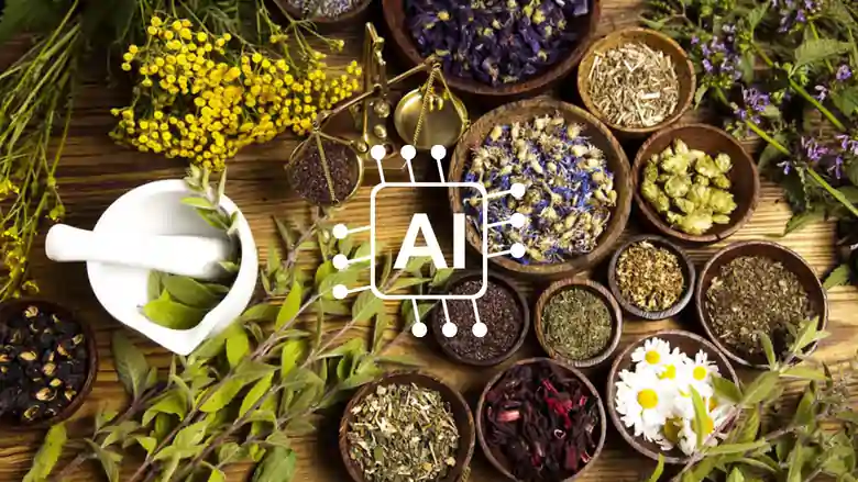 Traditional Knowledge Digital Library