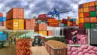 India-US trade talks stall over dairy imports, GM crops, and farm rules.