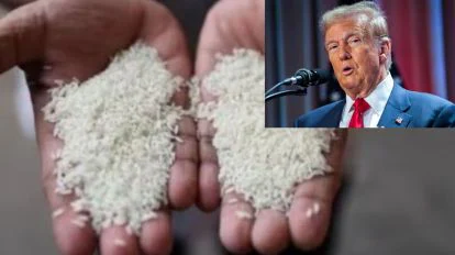 Donald Trump Japan rice import