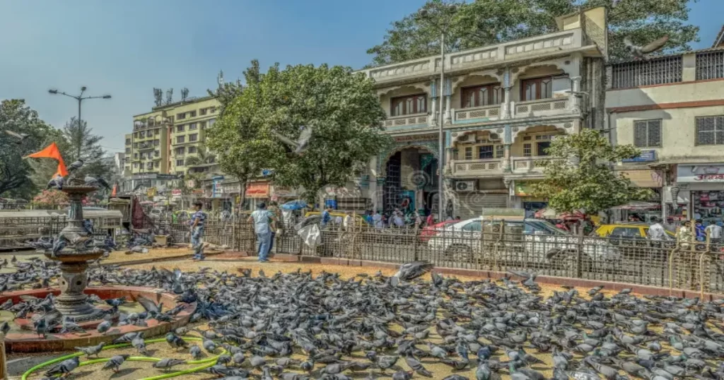 Maharashtra government kabootar khana ban