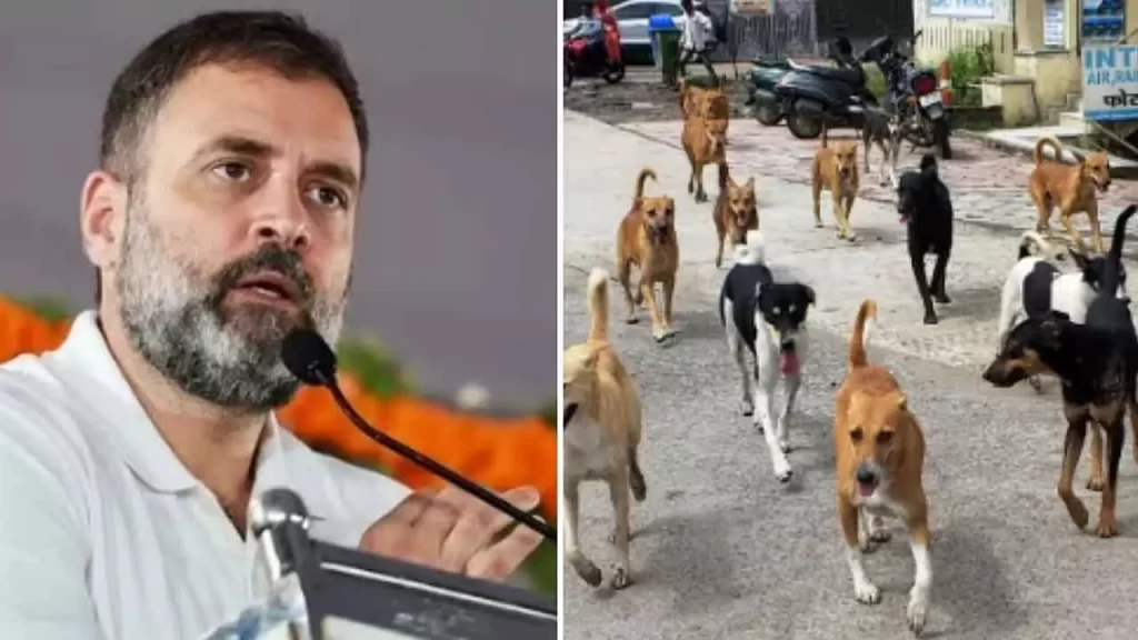 Rahul Gandhi criticizes stray dog order