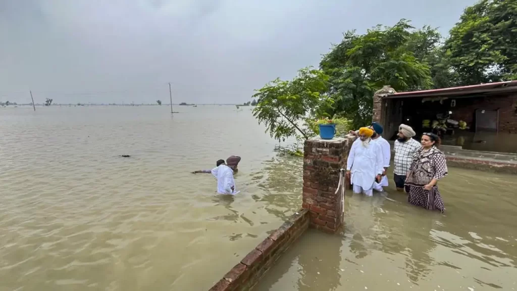 Punjab Flood Relief Update