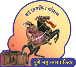 Eco-friendly Ganesh idol immersion