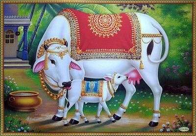 Cow decorated for Vasubaras