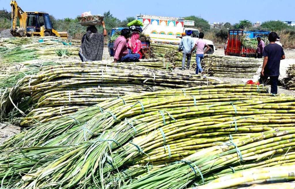 Yogi government’s major gift to sugarcane farmers