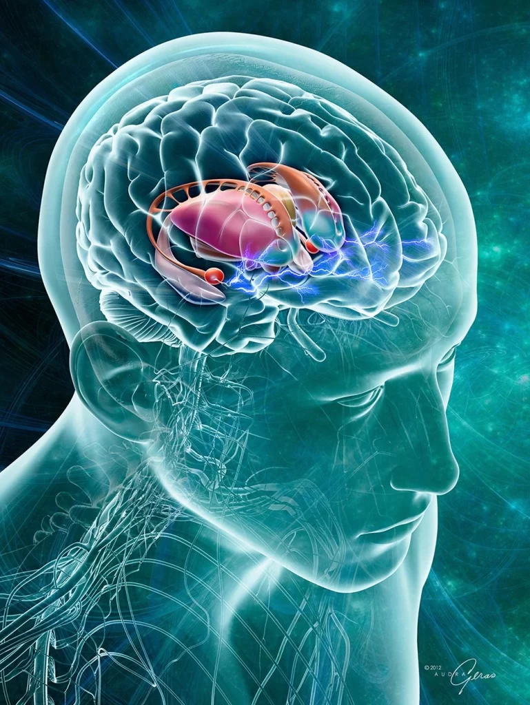 Brain scan showing loneliness-induced neural changes.