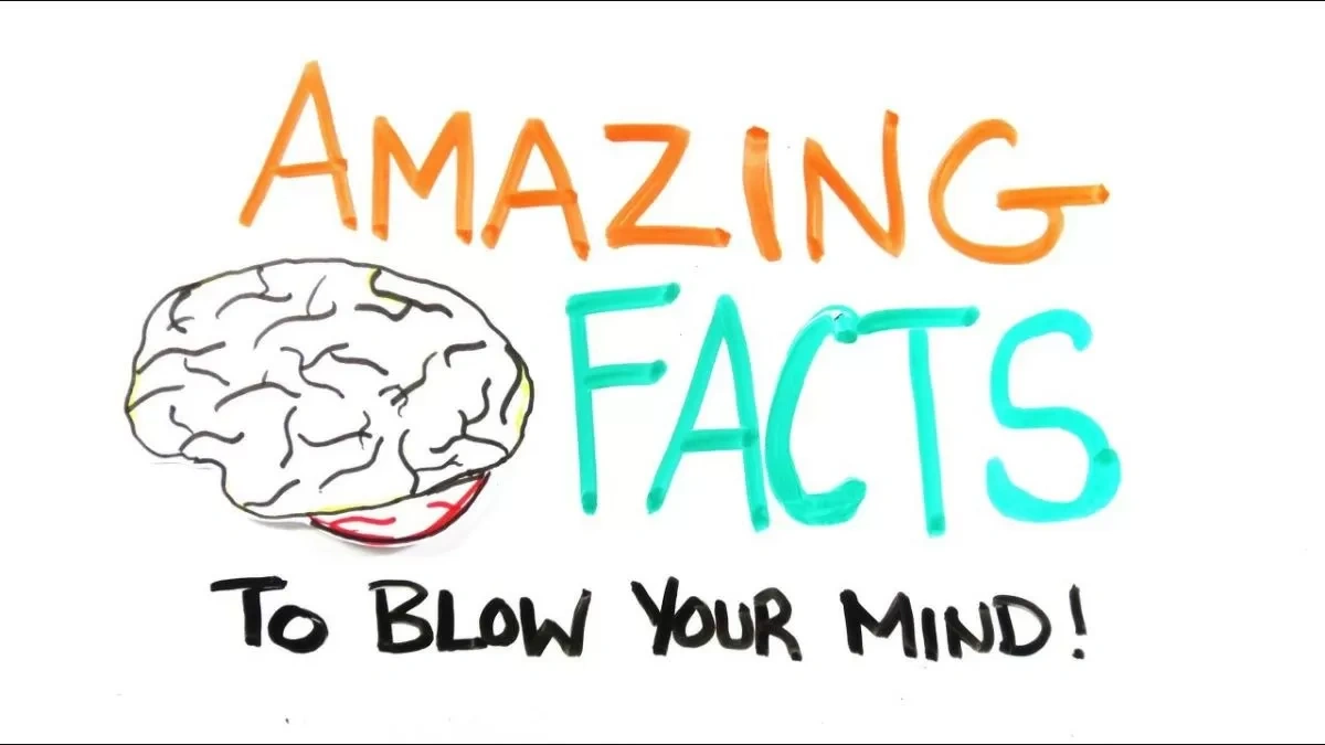 More than 100 surprising facts about the world that will blow your mind