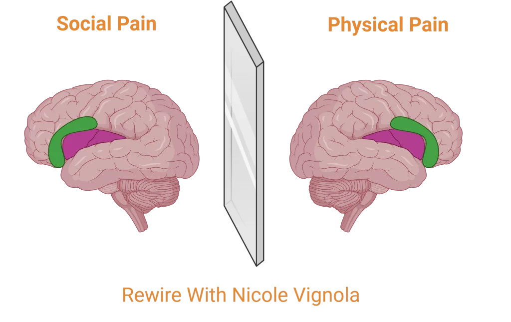 Brain scan illustrates social rejection activating physical pain regions.