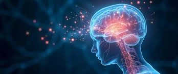 Brain reconstructing memories during recall process.