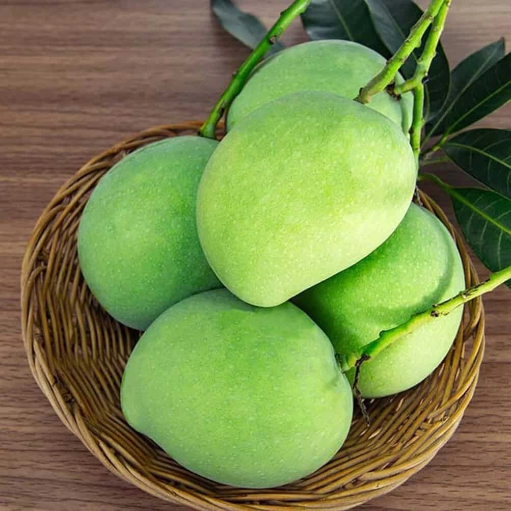 Vibrant raw mango recipes collage for summer delights