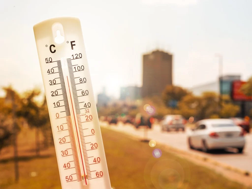 Vibrant summer cooling thali meal plan infographic.