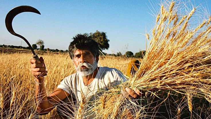 Farmers in Punjab demand crop insurance cover
