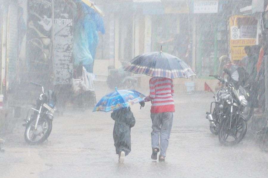 India's unseasonal rains flood fields, spark climate fears.