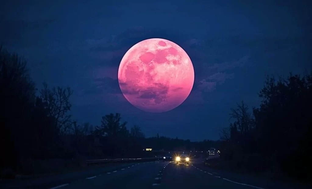 pink moon 2026