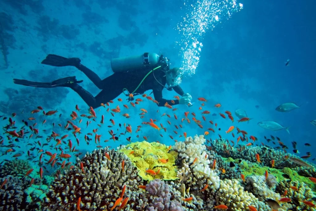 Andaman plans underwater Guinness World Record events