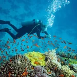 Andaman plans underwater Guinness World Record events