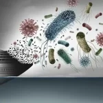 Hantavirus