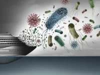 Hantavirus