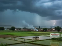 Monsoon Advances Across Central India