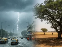 Monsoon Intensifies Across India As IMD Issues Widespread Rain Alerts