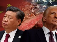 Vanishing Licenses on us from china for beef